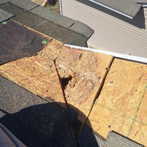 resilient-roofing-repair-2024-12-24T16 25 57.456949Z-36462.35142727407
