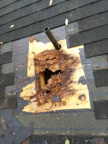 resilient-roofing-repair-2025-08-27T13 11 20.555648Z-69404.97985746647