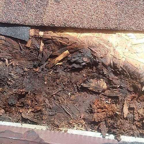 resilient-roofing-repair-2025-08-27T13 11 22.945934Z-16643.911614052988